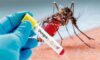 194 dengue patients hospitalized in 24 hrs