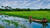 UK assists $34.7m for disadvantaged girls in Bangladesh